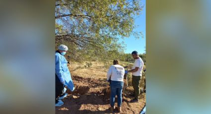 Denuncian anónimas ‘destapan’ fosas clandestinas en la región de Guaymas y Empalme
