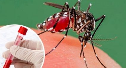 Dengue en el Sur de Sonora inicia el año con signos de alarma; hay un incremento del 400%