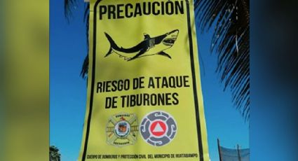 A casi un año de la tragedia, alerta de posible ataque de tiburón regresa al Sur de Sonora