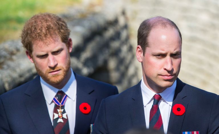 Harry y William 