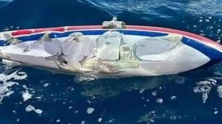 Hallan partes de avioneta desaparecida en el Mar de Cortés: No hay rastro de tripulantes