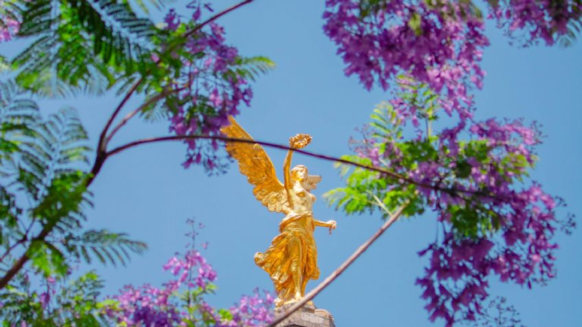 Hoy No Circula: Estos autos no circulan el miércoles 11 de octubre del 2023