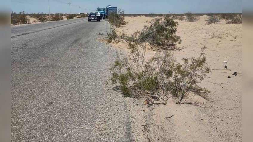 En distintos puntos del valle de San Luis Río Colorado, localizan dos cadáveres
