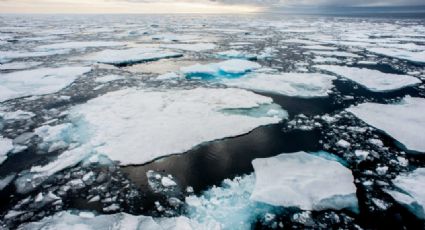 Surge preocupación en el mundo por el derretimiento récord de la capa de hielo de la Antártida