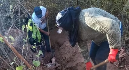 ¡Búsqueda Positiva! Guerreras Buscadoras hallan cuerpos en fosas clandestinas de Vícam