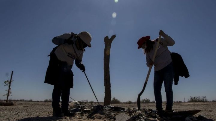 Macabro hallazgo en Tlaquepaque: Madres buscadoras descubren crematorio clandestino