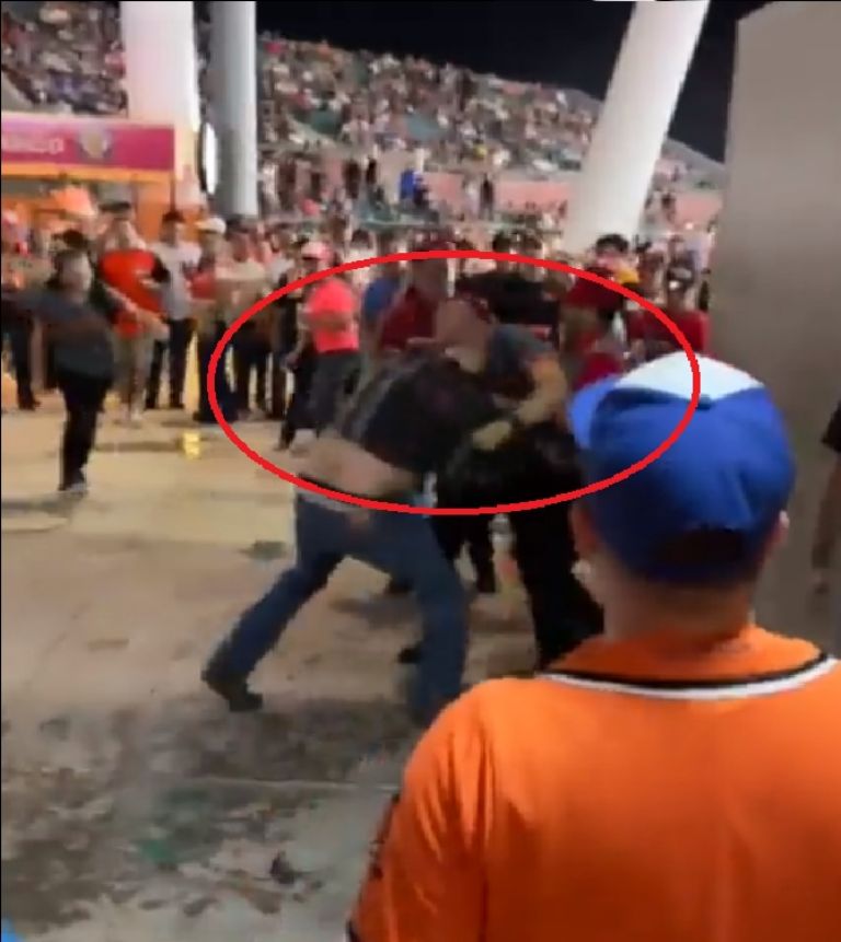 Pelea tras triunfo de los Yaquis sobre Naranjeros queda en VIDEO. Foto: Captura de pantalla