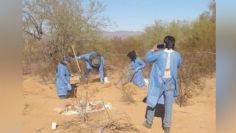 Diferentes colectivos encuentran por lo menos 18 osamentas en Sonoyta