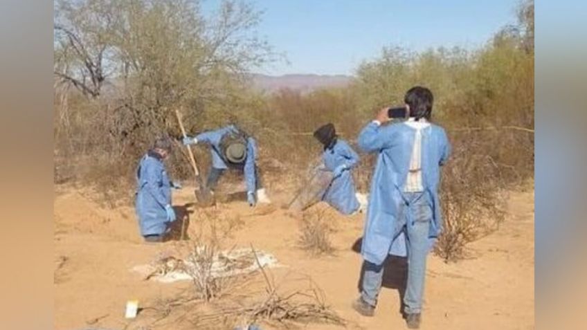 Diferentes colectivos encuentran por lo menos 18 osamentas en Sonoyta