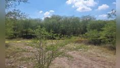 Localizan dos cadáveres con huellas de violencia al sur de Culiacán; no hay detenidos