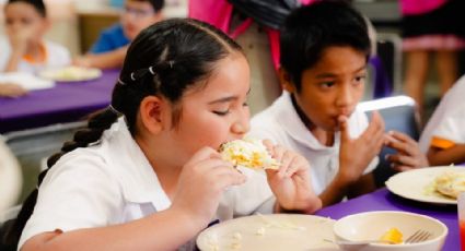 Programa de Desayunos Escolares en la Región del Mayo, repleto de irregularidades