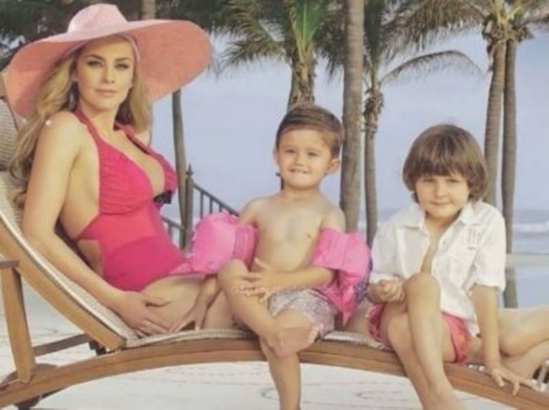 Aracely habría impedido que Luis Miguel vea a sus hijos