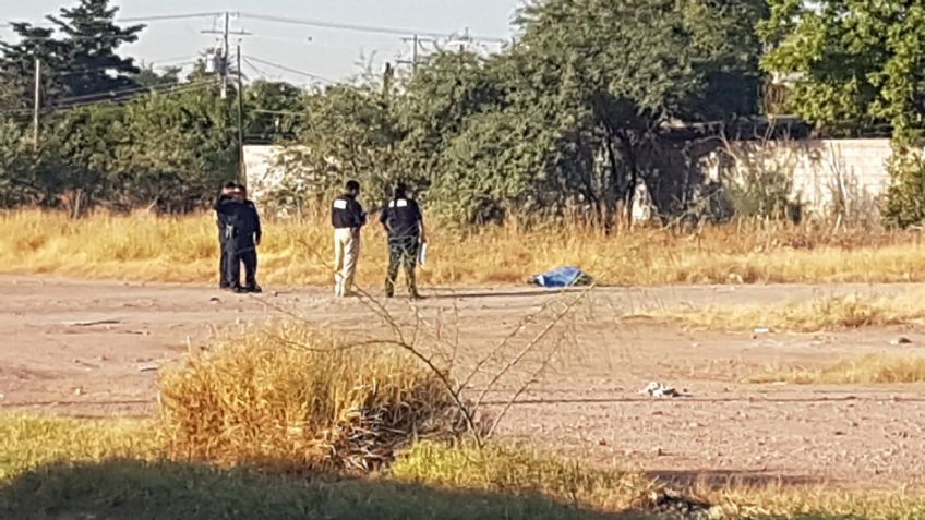 Era de Ciudad Obregón: Reconocen a mujer asesinada y abandonada en terreno de Cajeme