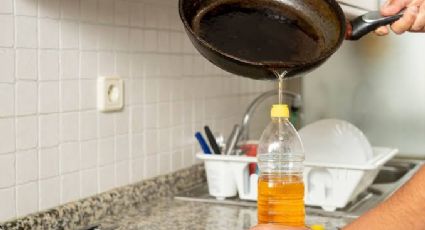 Aceite de cocina: Estos son los usos que no sabías que podías darle a este producto en el hogar