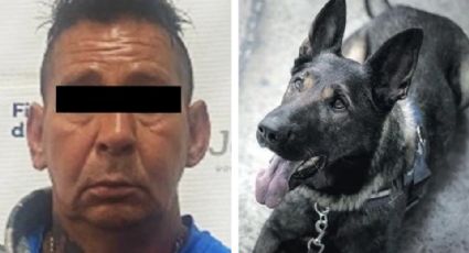 Dictan formal prisión a Arturo por matar a su perro en Guadalajara; lo ahorcó con cadena