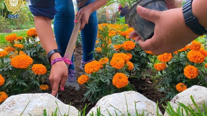 Mujeres privadas de la libertad venden Cempasúchil para ayudar a sus familias