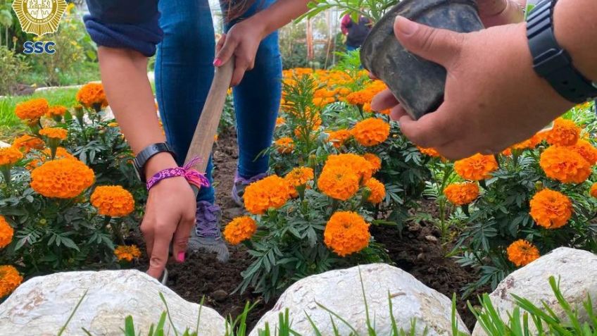 Mujeres privadas de la libertad venden Cempasúchil para ayudar a sus familias