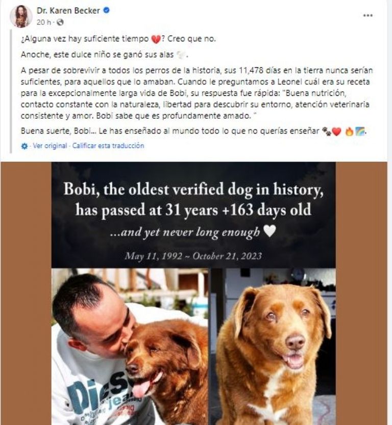 Muere 'Bobi' el perro más longevo del mundo