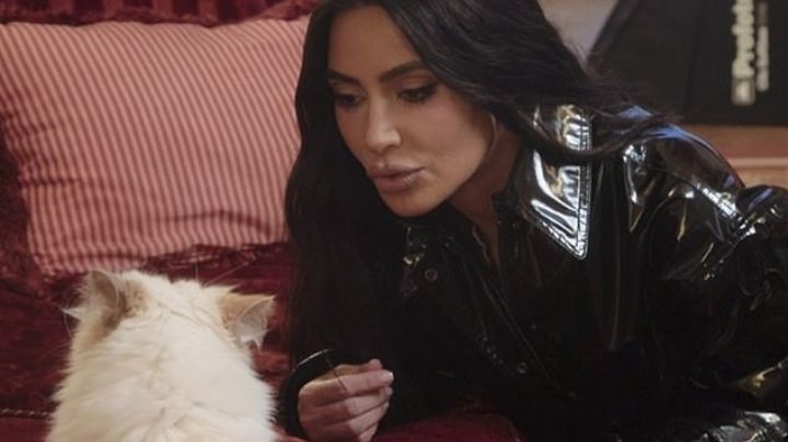 Kim Kardashian es atacada por Choupette por lo que sus planes para llevarla a la Met Gala se desvanecieron