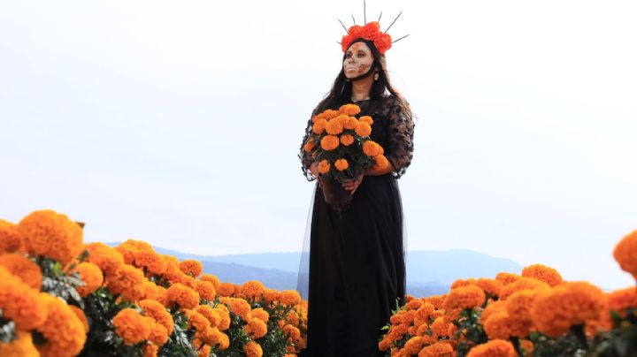 En estos lugares puedes comprar flores de Cempasúchil en la Ciudad de México