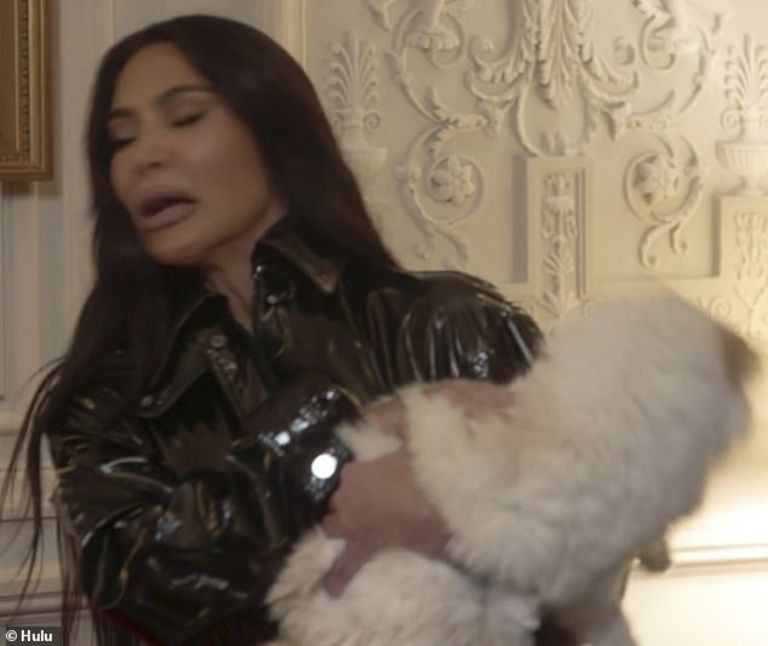Kim Kardashian y Choupette peleando