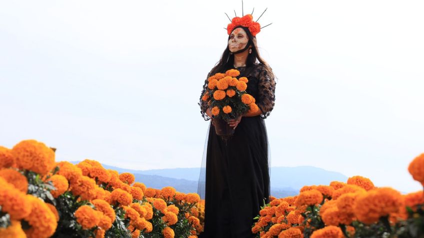 En estos lugares puedes comprar flores de Cempasúchil en la Ciudad de México