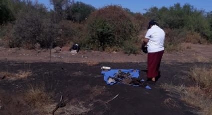 Sonora: Guerreras Buscadoras de Cajeme encuentran tres osamentas en predio de Vícam