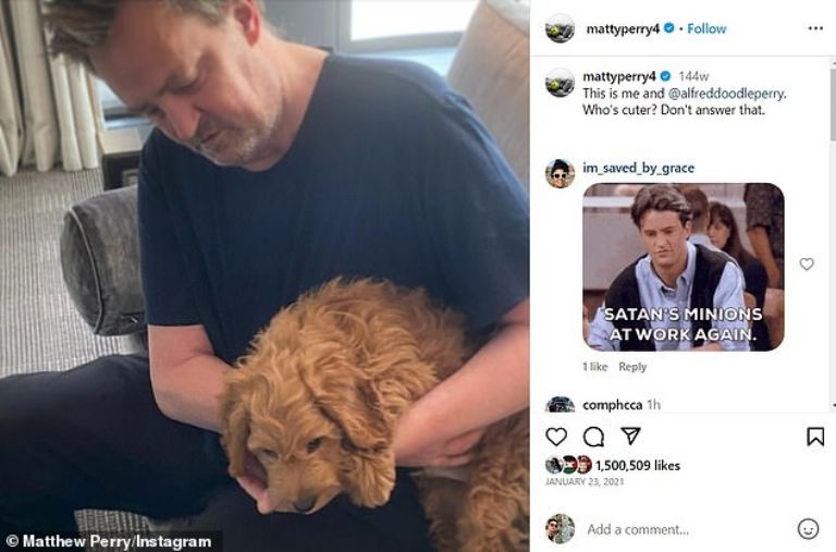 Matthew y su perrito