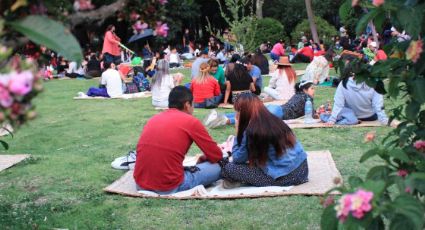 No te lo puedes perder: Asiste al picnic nocturno en el Bosque de Chapultepec; fechas
