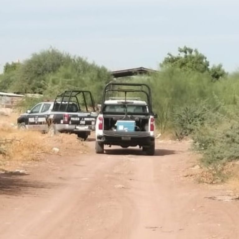 Hallan cadáver en Vícam, Sonora. Foto: Facebook