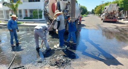 Crisis en Sonora: Hasta ocho colapsos de drenaje se registran día a día en Navojoa
