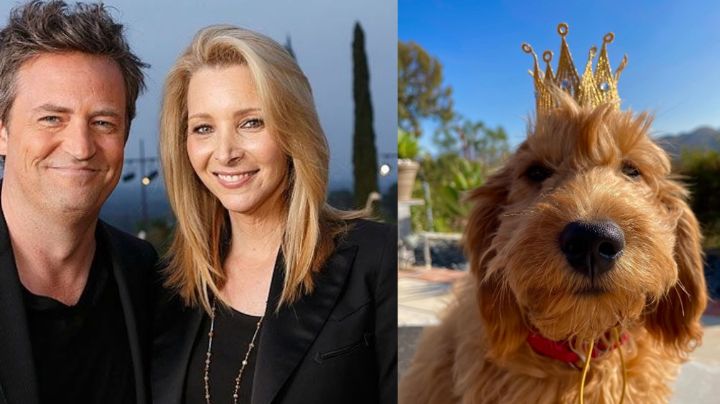 Lisa Kudrow no podría adoptar al amado perro de Matthew Perry y este sería la triste razón