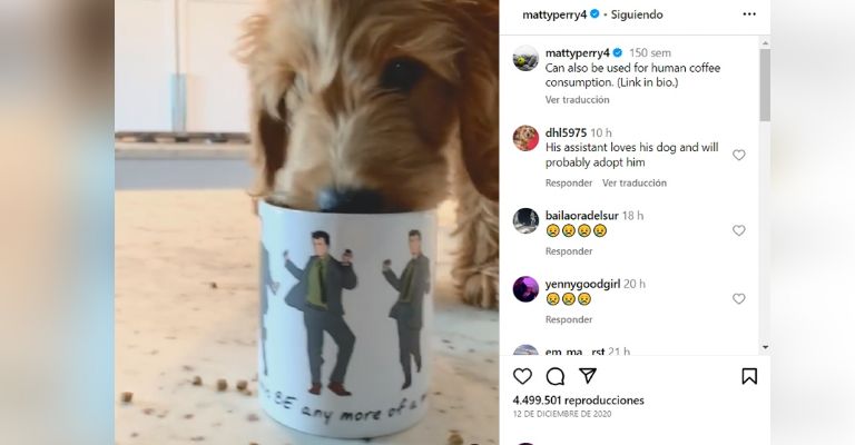 Lisa Kudrow no adoptará al perro de Matthew Perry