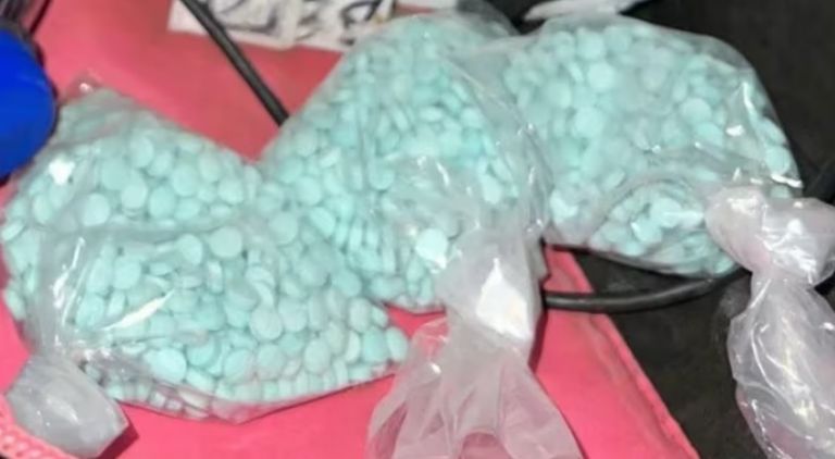 Dos Avionetas, Cinco Detenidos y más de 200 Paquetes de Drogas Asegurados