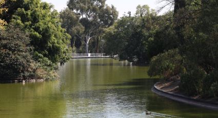Ya era hora: Restauran lagos de la segunda sección del Bosque de Chapultepec en CDMX