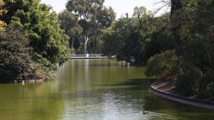 Ya era hora: Restauran lagos de la segunda sección del Bosque de Chapultepec en CDMX