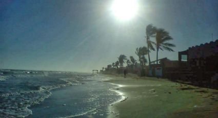 PROFEPA investiga un nuevo caso de peces muertos a orillas de la playa en Huatabampo