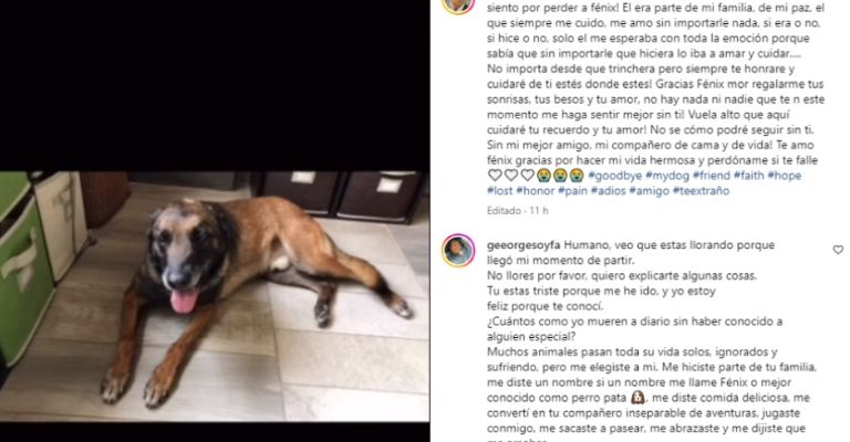 Federica Quijano se despide de su compañero de vida devastada
