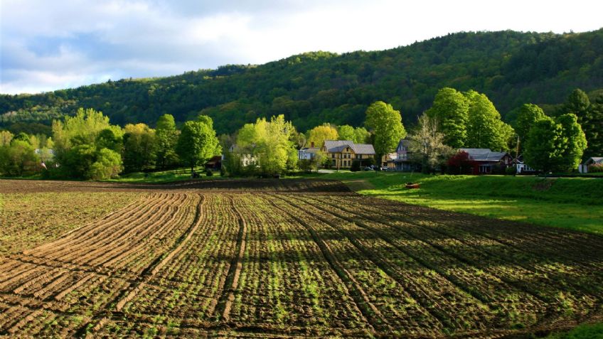 “No sorprende a productores el trato del Gobierno Federal al campo”: Leyva Mendívil