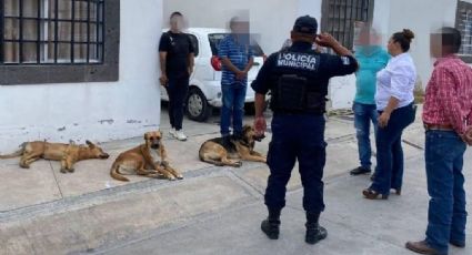 Nuevo caso de envenenamiento colectivo de perros en SLP; autoridades tomaran acción legal