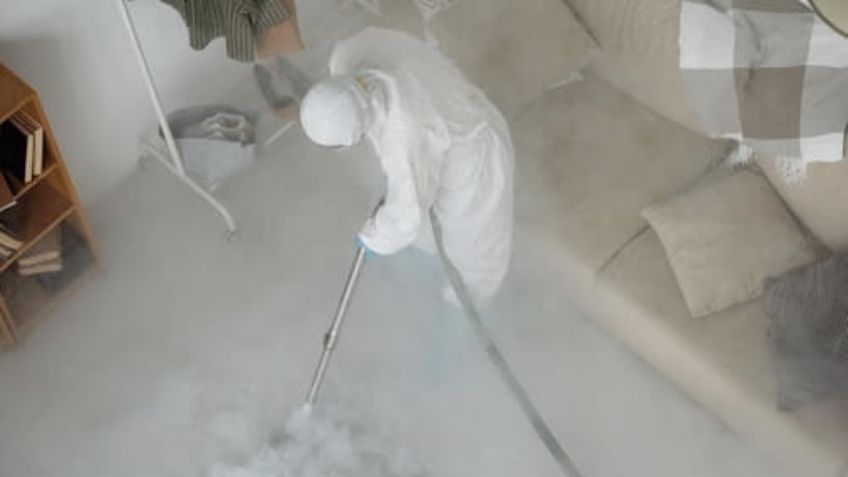 Levantan cerco epidemiológico en Guaytana, Etchojoa por amenaza de plagas