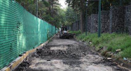 El Bosque de Chapultepec recupera el verde; autoridades retiran el asfalto en Los Pinos