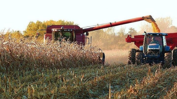 Gobierno de AMLO apuesta por la asistencia social y no por la productividad en el campo