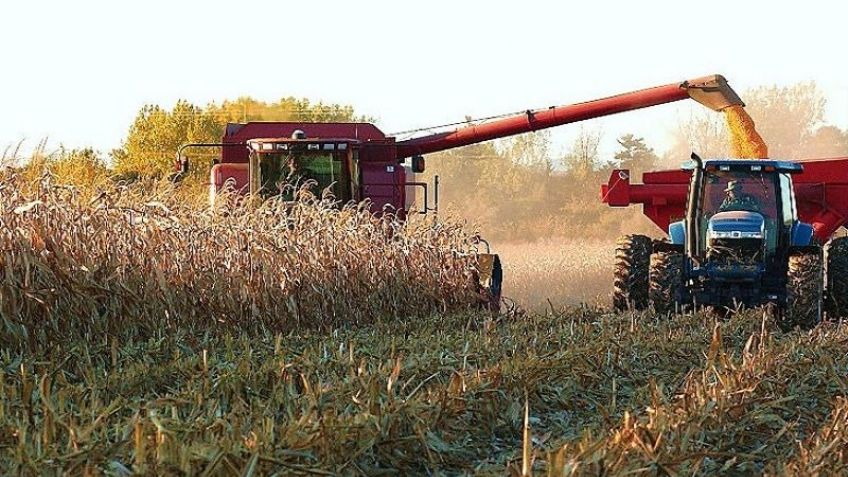 Gobierno de AMLO apuesta por la asistencia social y no por la productividad en el campo