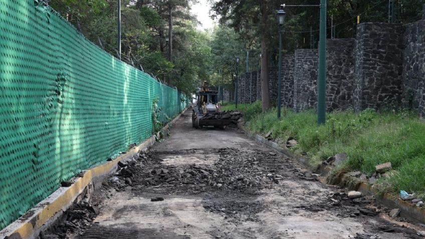 El Bosque de Chapultepec recupera el verde; autoridades retiran el asfalto en Los Pinos