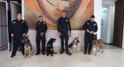 Elementos de la K9 Sonora se jubilan tras 6 años de servicio; se van con todo y medalla