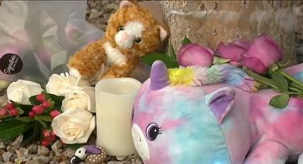 Tragedia en Tucson: Niña de 9 años muere aplastada por puerta de metal en su escuela primaria