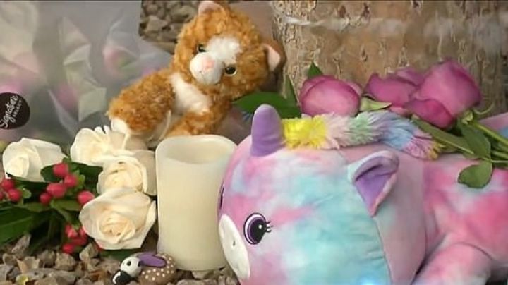 Tragedia en Tucson: Niña de 9 años muere aplastada por puerta de metal en su escuela primaria