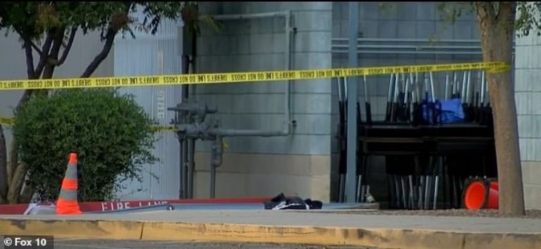 Los paramédicos acudieron a la primaria el viernes por la tarde para reanimar a la niña, pero fue declarada muerta en un hospital