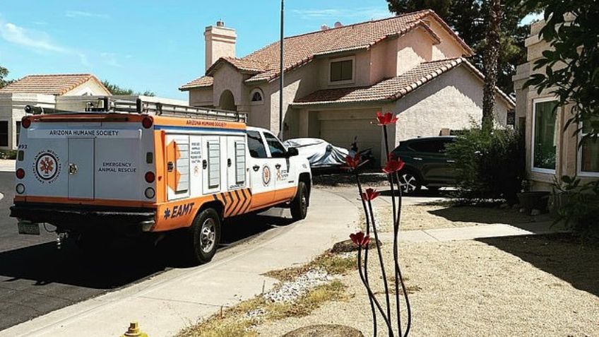 Mujer enfrenta nuevos cargos después del rescate de 55 perros maltratados y 5 muertos en su hogar